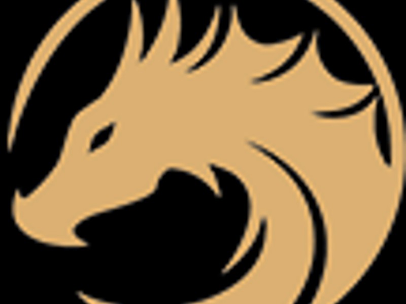 Cấp bậc VIP Đồng